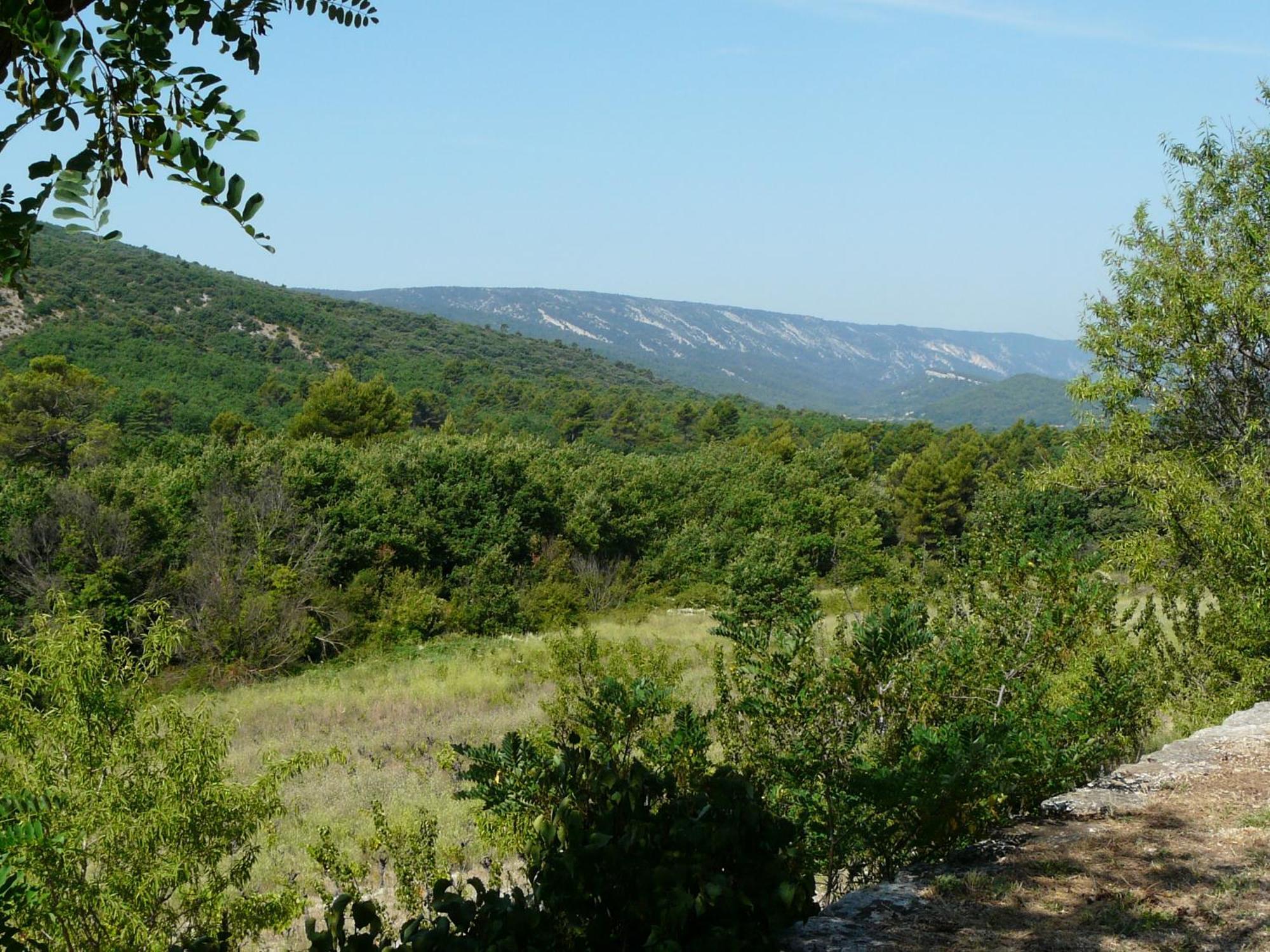Joli Mas Provençal du 19ème siècle avec grande piscine privée, situé au calme, en campagne de Lacoste, au cœur du Luberon, 6 personnes, LS2-239 Amanto Lacoste  Exterior foto