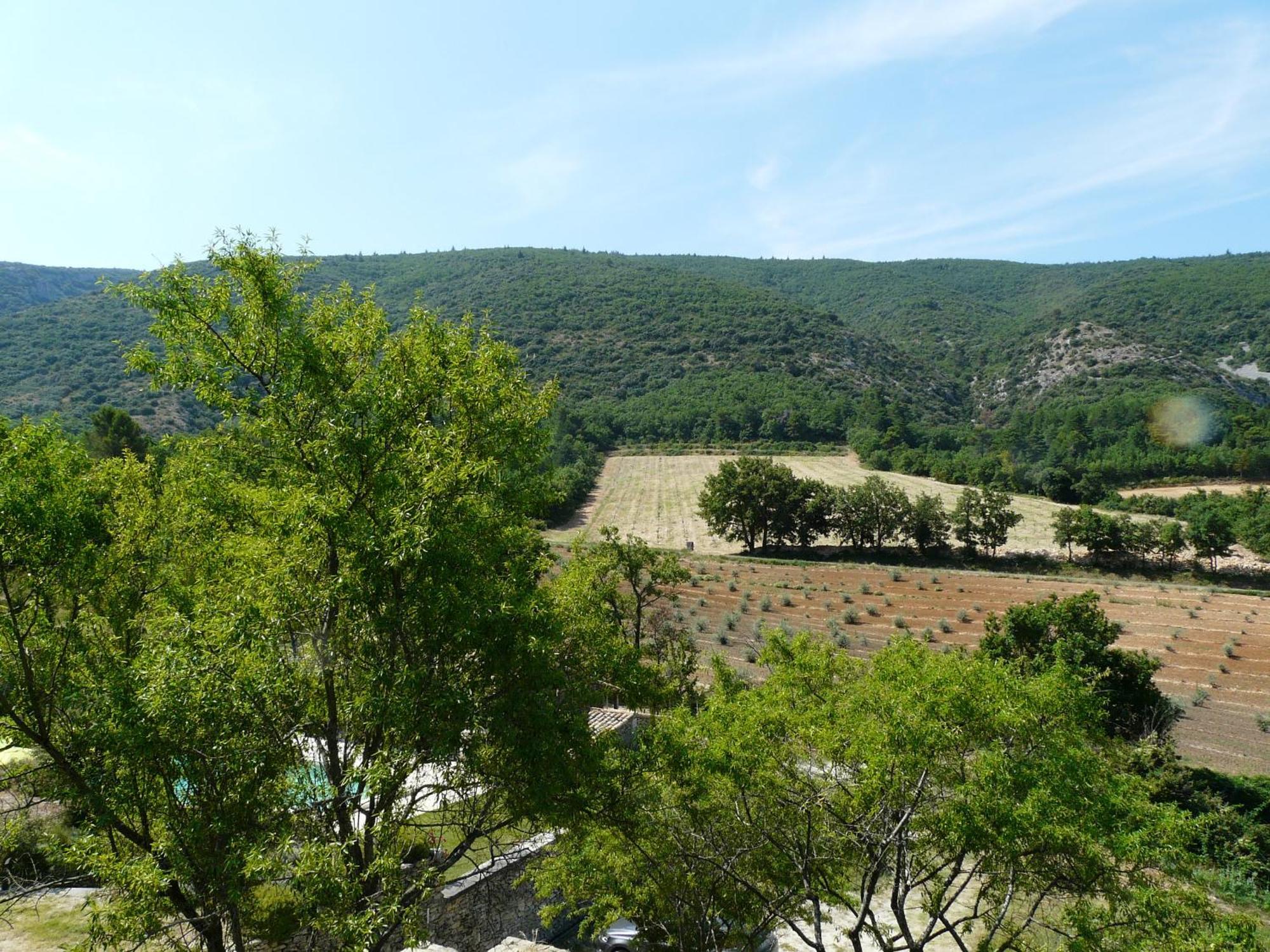 Joli Mas Provençal du 19ème siècle avec grande piscine privée, situé au calme, en campagne de Lacoste, au cœur du Luberon, 6 personnes, LS2-239 Amanto Lacoste  Exterior foto